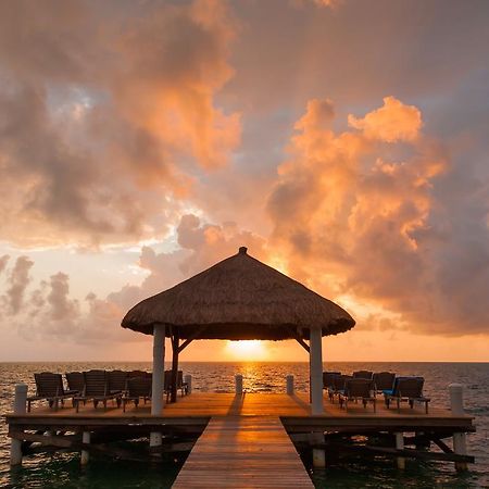 Weezie'S Ocean Front Hotel And Garden Cottages Caye Caulker Exterior foto