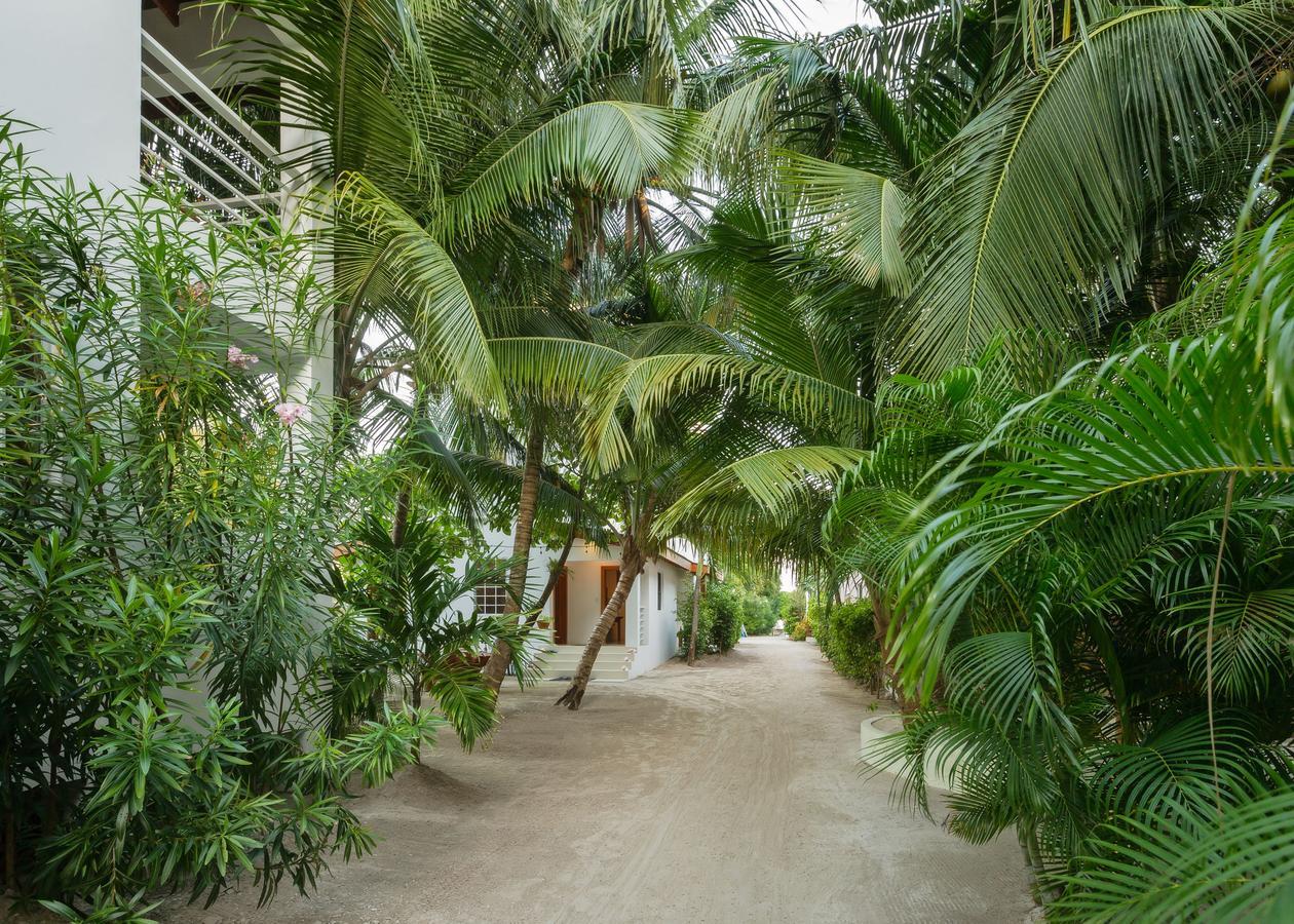 Weezie'S Ocean Front Hotel And Garden Cottages Caye Caulker Exterior foto